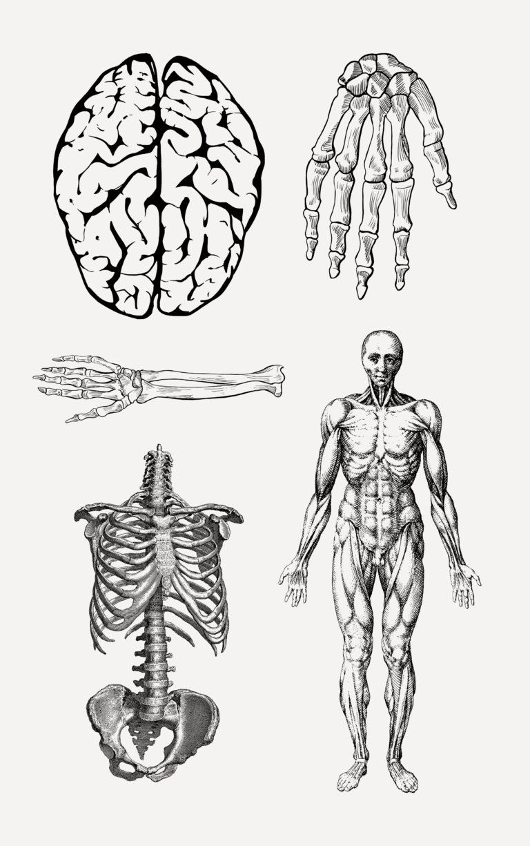 Biologia matura 2025 kurs całoroczny grupa 2