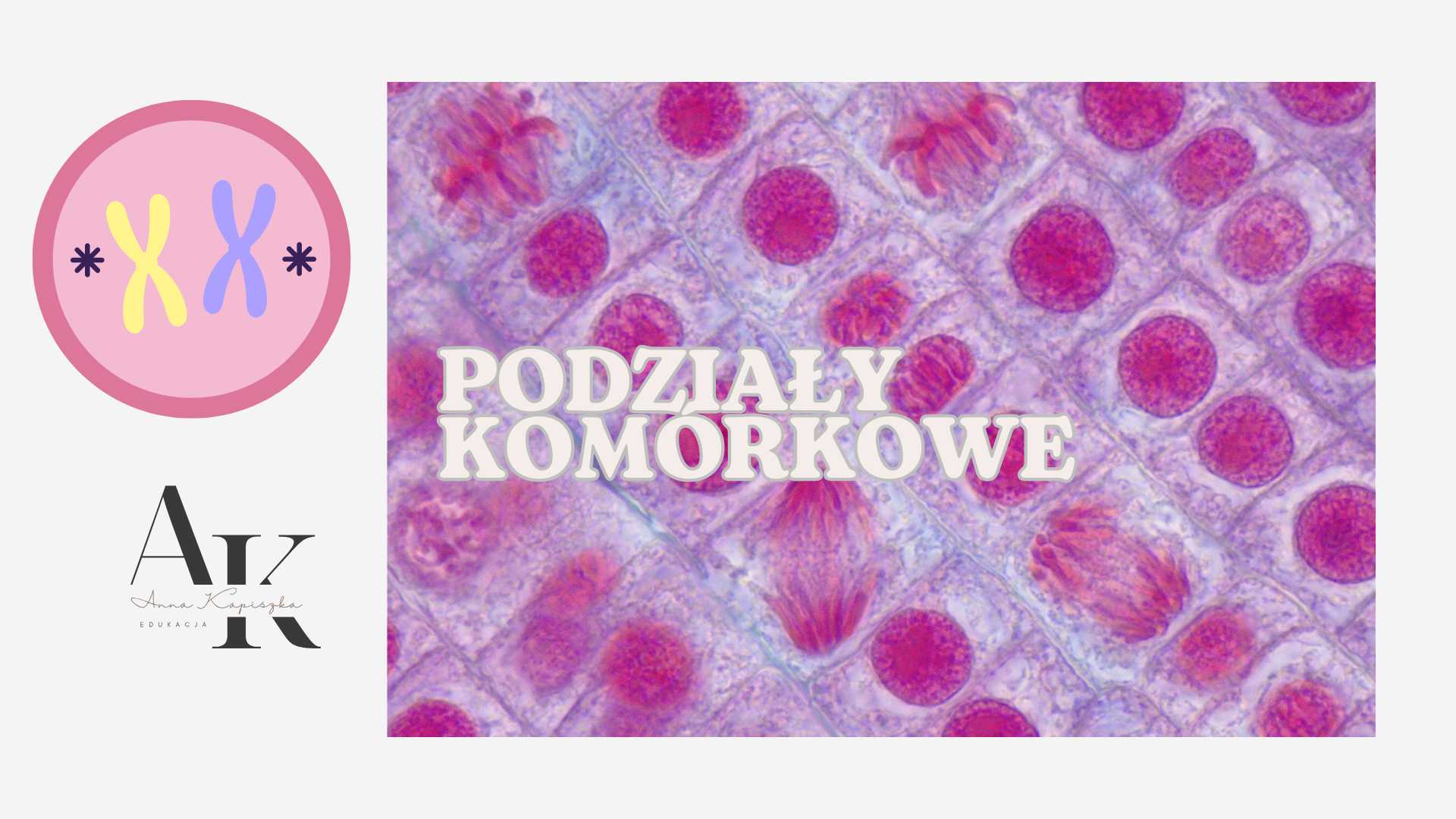 Biologia matura, WERSJA DEMO KURSU, PODZIAŁY KOMÓRKOWE