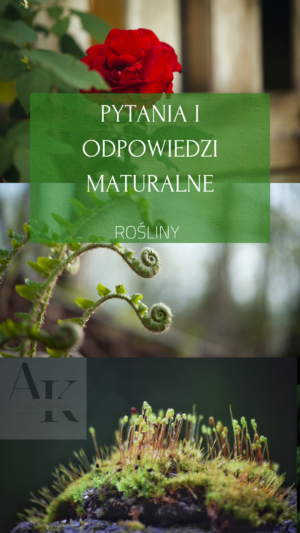 PYTANIA I ODPOWIEDZI MATURALNE ROŚLINY