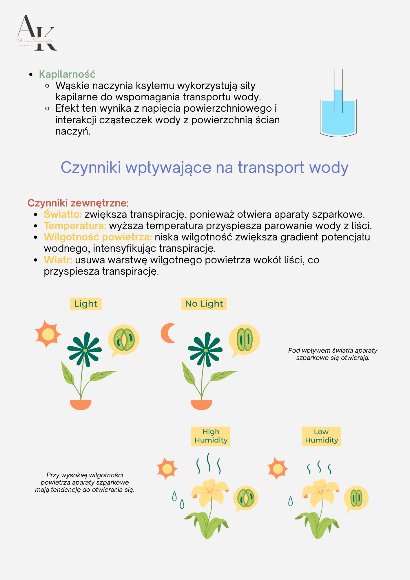 BIOLOGIA PODRĘCZNIK+KURS W PIGUŁCE - obrazek 5