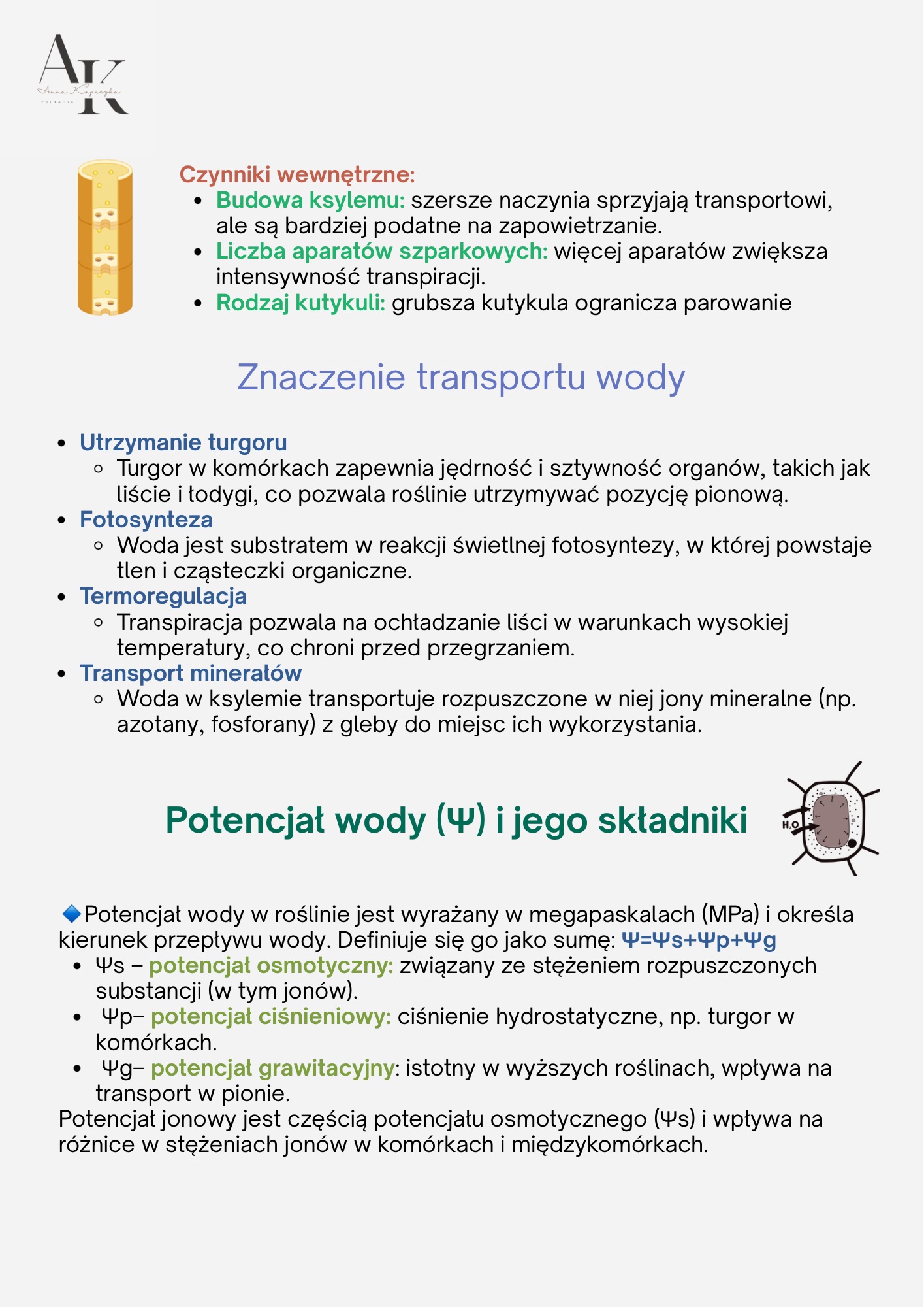 BIOLOGIA PODRĘCZNIK+KURS W PIGUŁCE - obrazek 6