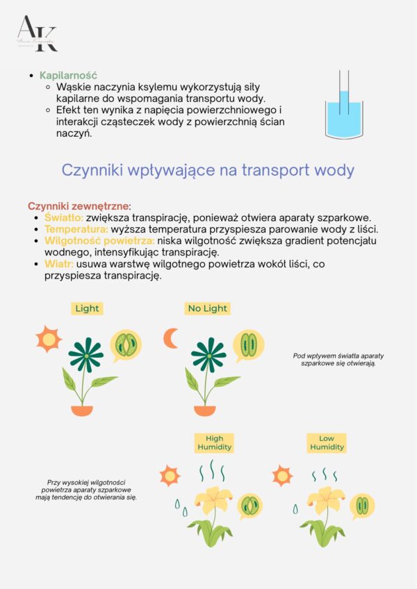 BIOLOGIA PODRĘCZNIK+KURS W PIGUŁCE - obrazek 5