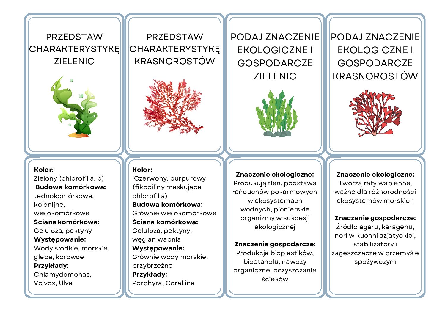 Pakiet Fiszek Biologicznych dla Wszystkich Klas! - obrazek 2