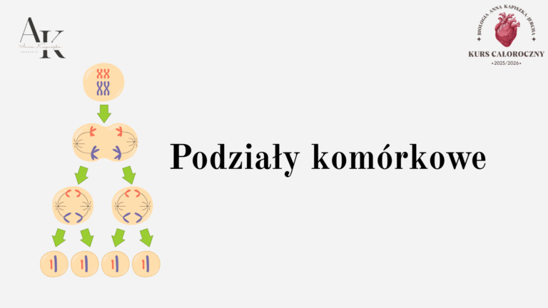 PODZIAŁY KOMÓRKOWE- DARMOWY WEBINAR, 26.10.2025, GODZ.20.00