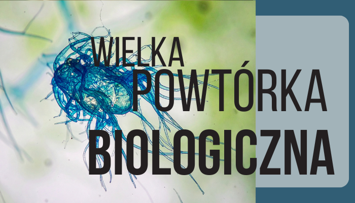 WIELKA POWTÓRKA BIOLOGICZNA 2026
