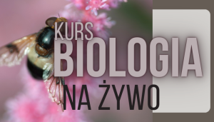 🌿 KURS BIOLOGIA 2026/2027 – OPŁATA REZERWACYJNA (1. RATA)