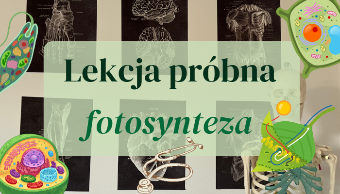 DARMOWA LEKCJA BIOLOGII – LEKCJA PRÓBNA – FOTOSYNTEZA