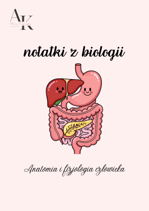 NOTATKI Z BIOLOGII - KLASA 3 - CZŁOWIEK